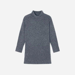 The Cozy Stretch Turtleneck Dress | Marin