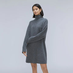 The Cozy Stretch Turtleneck Dress | Marin